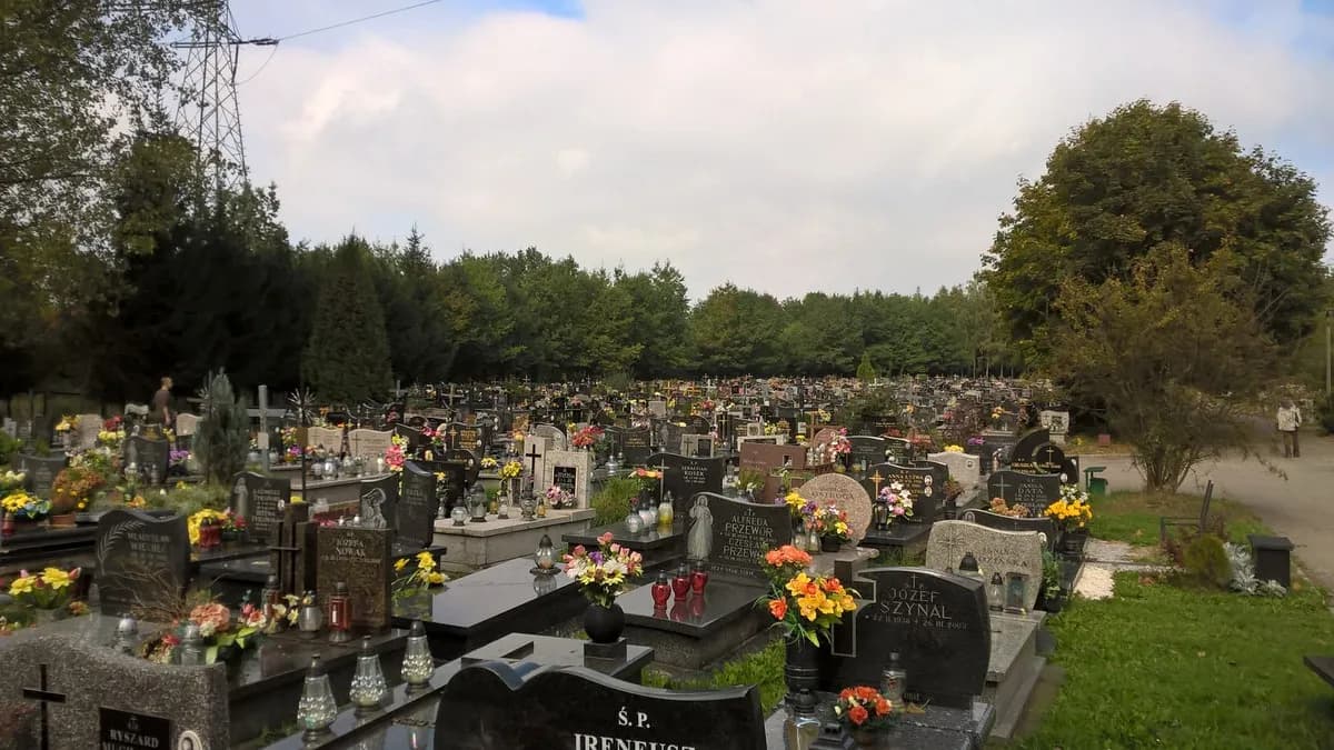 Jak dojechać na cmentarz Salwator w Krakowie - uniknij korków w Święto Zmarłych Jak dojechać na cmentarz Salwator w Krakowie - uniknij korków w Święto Zmarłych
