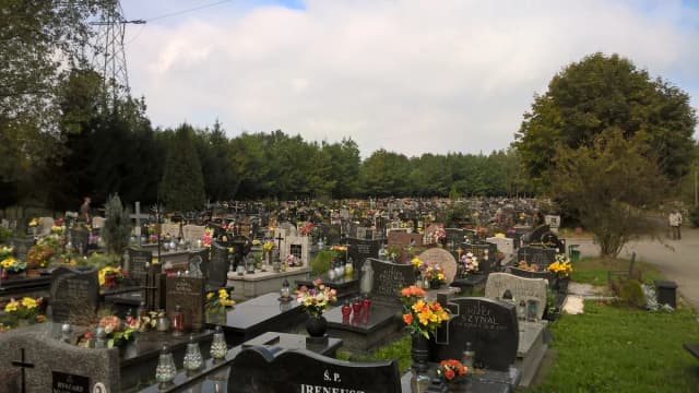 Jak dojechać na cmentarz Salwator w Krakowie - uniknij korków w Święto Zmarłych Jak dojechać na cmentarz Salwator w Krakowie - uniknij korków w Święto Zmarłych